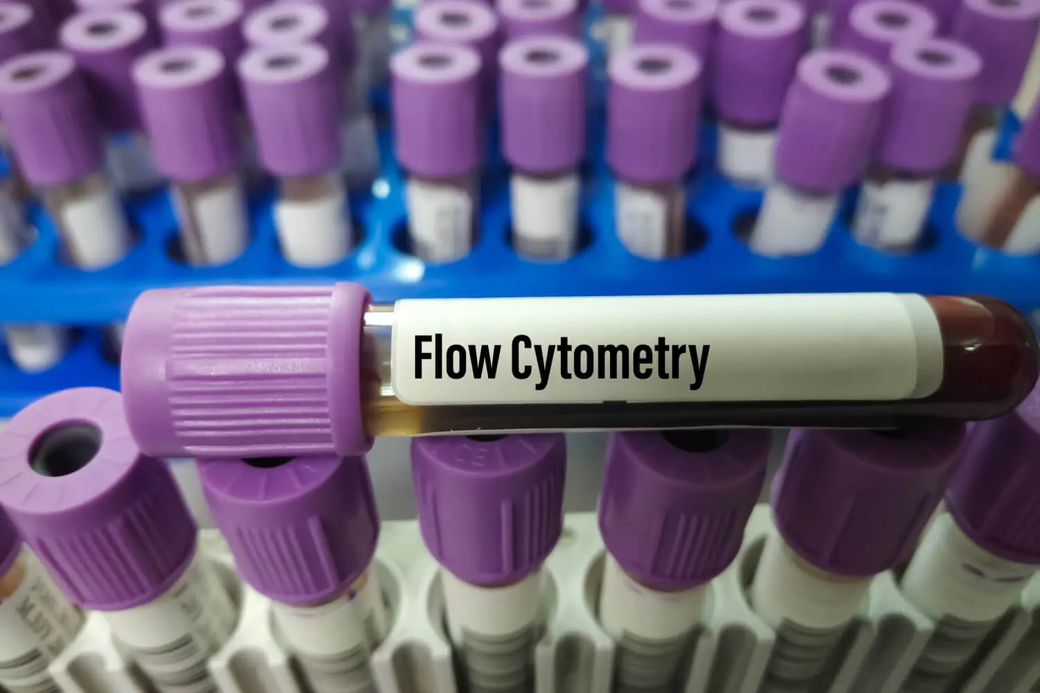 Flow Cytometry